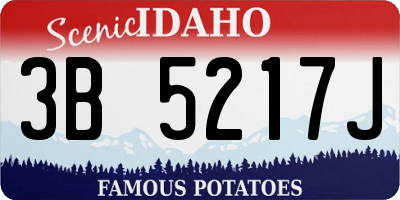 ID license plate 3B5217J