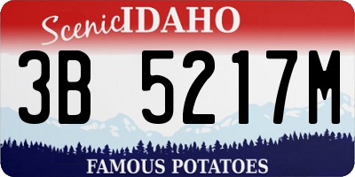 ID license plate 3B5217M