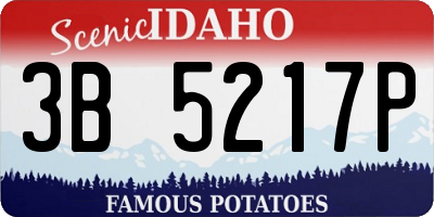 ID license plate 3B5217P