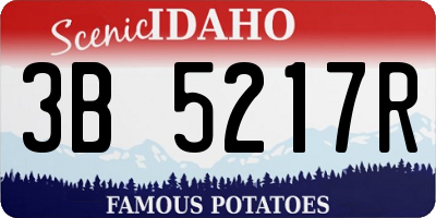 ID license plate 3B5217R