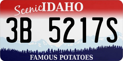 ID license plate 3B5217S