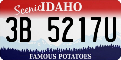 ID license plate 3B5217U