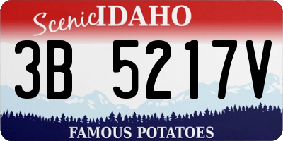 ID license plate 3B5217V