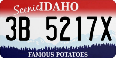 ID license plate 3B5217X