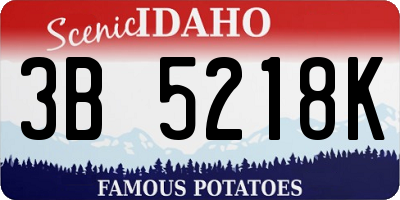ID license plate 3B5218K