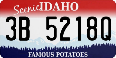 ID license plate 3B5218Q