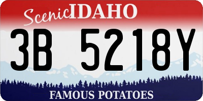 ID license plate 3B5218Y
