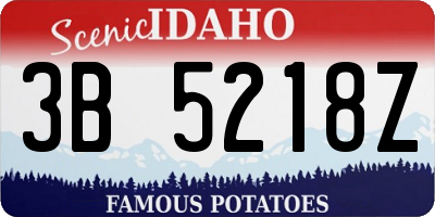 ID license plate 3B5218Z