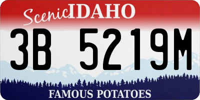 ID license plate 3B5219M