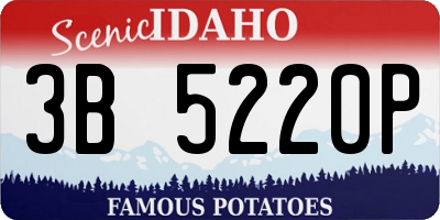 ID license plate 3B5220P