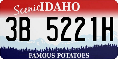 ID license plate 3B5221H