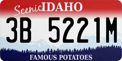 ID license plate 3B5221M