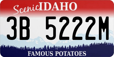 ID license plate 3B5222M