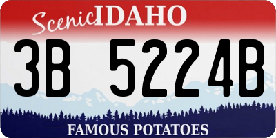 ID license plate 3B5224B