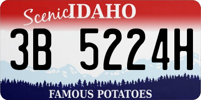 ID license plate 3B5224H