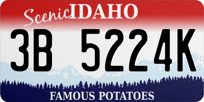 ID license plate 3B5224K