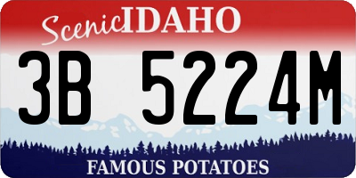 ID license plate 3B5224M