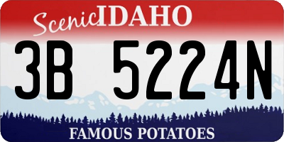 ID license plate 3B5224N