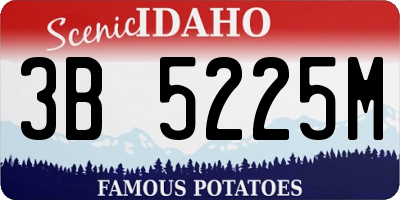 ID license plate 3B5225M