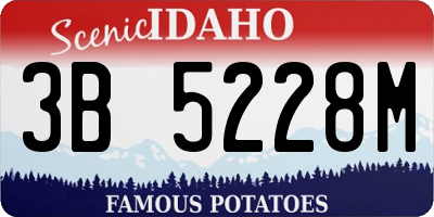ID license plate 3B5228M