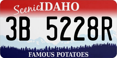 ID license plate 3B5228R