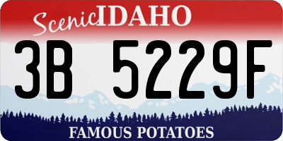 ID license plate 3B5229F