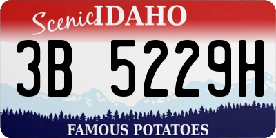 ID license plate 3B5229H