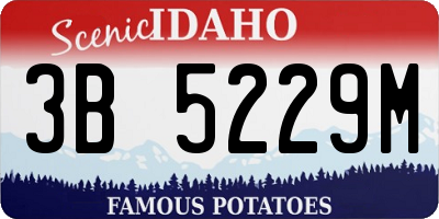 ID license plate 3B5229M