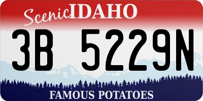 ID license plate 3B5229N