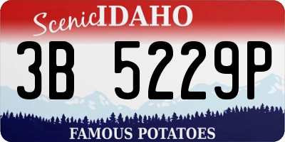 ID license plate 3B5229P