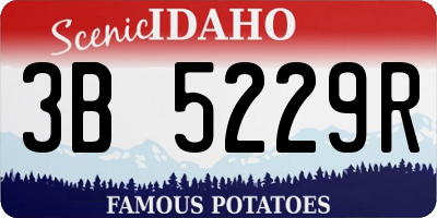 ID license plate 3B5229R