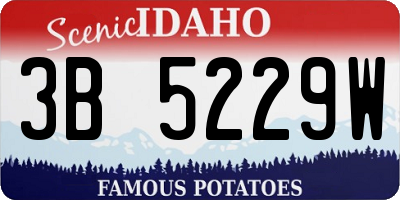 ID license plate 3B5229W