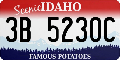 ID license plate 3B5230C