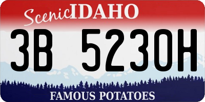 ID license plate 3B5230H