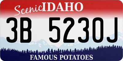ID license plate 3B5230J
