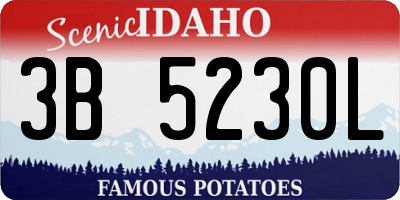 ID license plate 3B5230L