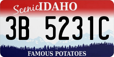 ID license plate 3B5231C