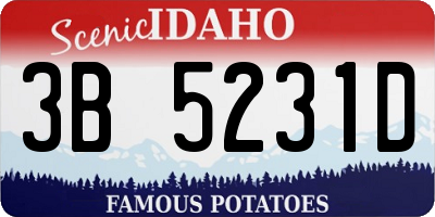 ID license plate 3B5231D