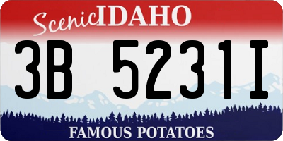 ID license plate 3B5231I