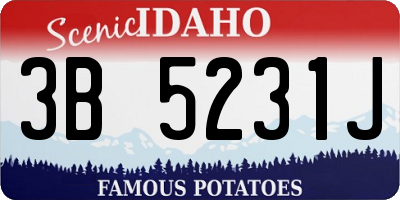 ID license plate 3B5231J