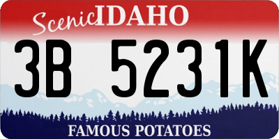 ID license plate 3B5231K