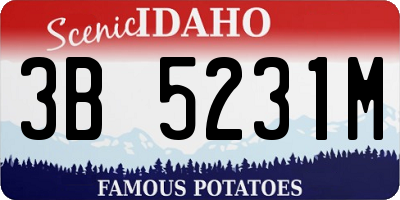 ID license plate 3B5231M