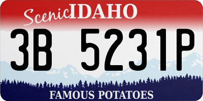 ID license plate 3B5231P