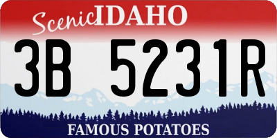 ID license plate 3B5231R