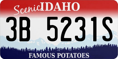 ID license plate 3B5231S