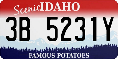 ID license plate 3B5231Y
