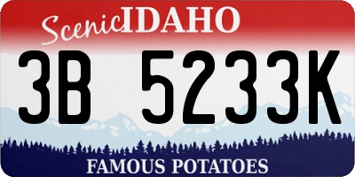 ID license plate 3B5233K