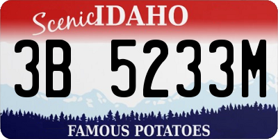 ID license plate 3B5233M
