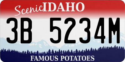 ID license plate 3B5234M