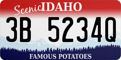 ID license plate 3B5234Q